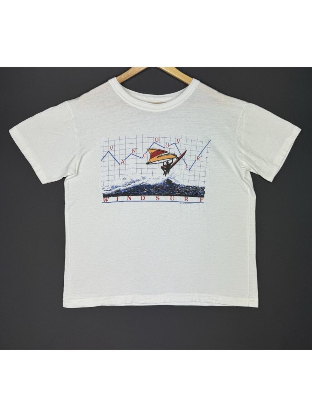 Vintage 80's 90's Vancouver Windsurf Art Beach Nature Tour Tee Single Stitch